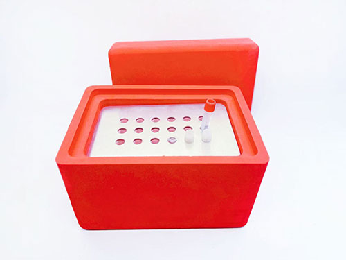 短时气相液氮转移箱