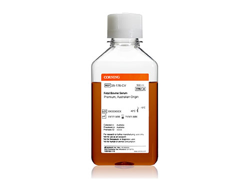 胎牛血清-澳洲