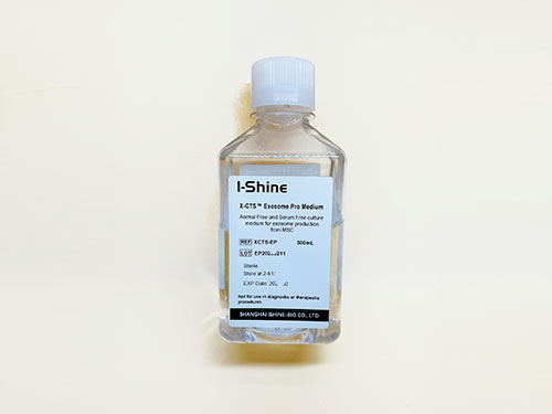 EP 外泌体生产培养基