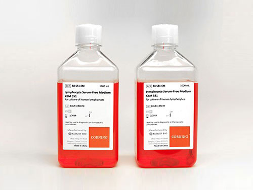 人免疫细胞无血清培养基