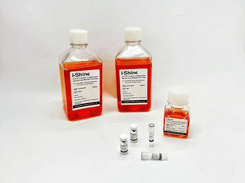 NK扩增试剂盒-因子法