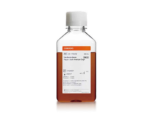 胎牛血清-南美